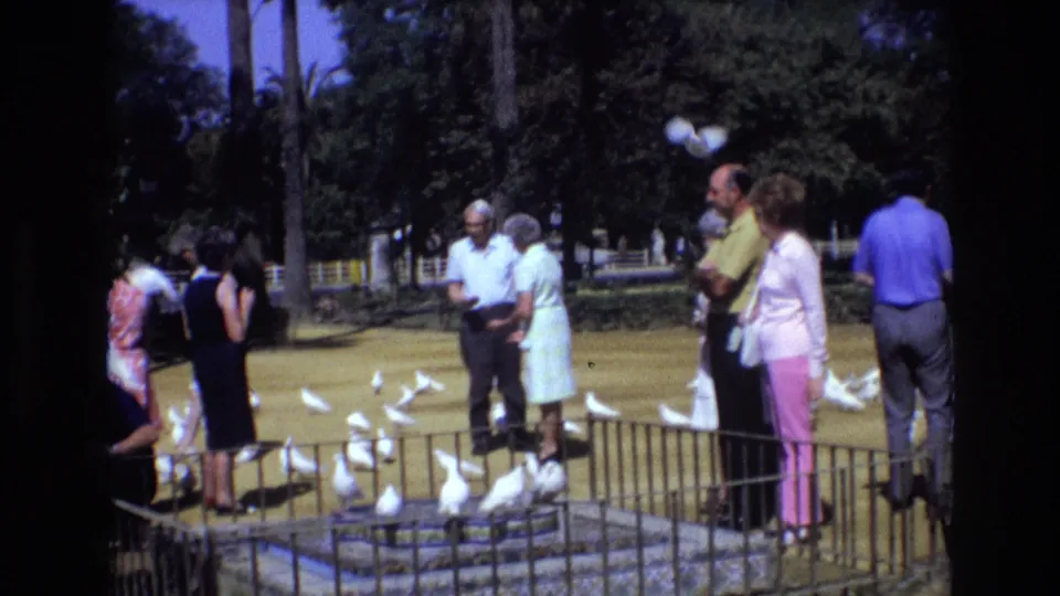 The home-movie frame shows adults gathered beside the low fountain enclosure in a Spain park, with white pigeons spread across the foreground and trees behind them.
