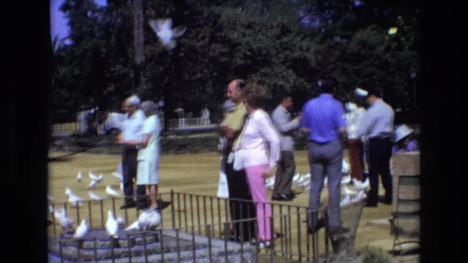At the end of the clip, adults in 1970s attire stand around the fenced fountain area as pigeons lift off and gather on the ground in a tree-lined Spanish park.