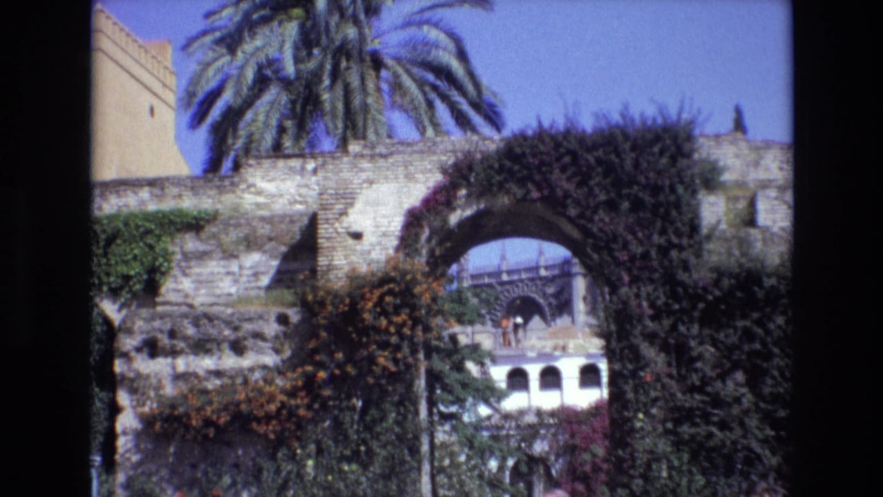 1972 Spain 8mm frame showing a vine-covered stone archway with a palm tree overhead, a pale arched building visible beyond, and visitors at the lower edge.