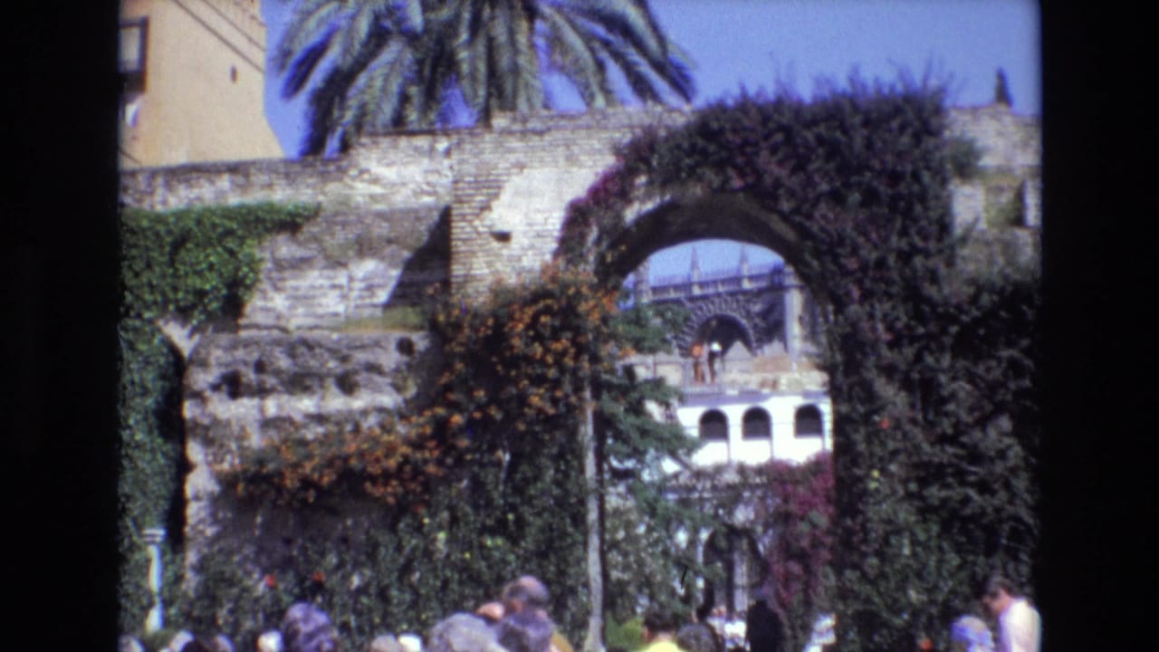 Tourists stand near a vine-covered stone arch with a palm tree and building beyond.