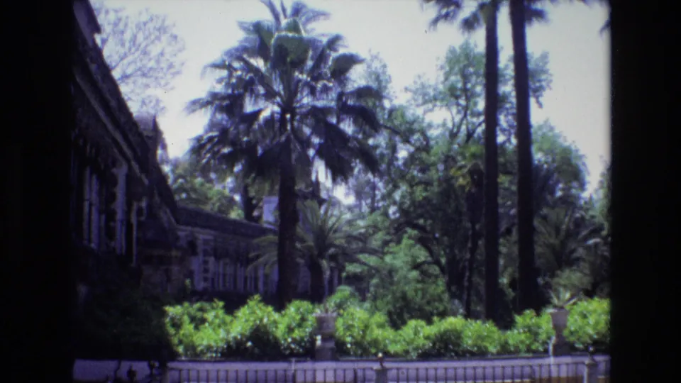 1972 Spain travel footage frame with tall palms, leafy garden planting, low hedges, and a dark doorway or window edge partly blocking the view.