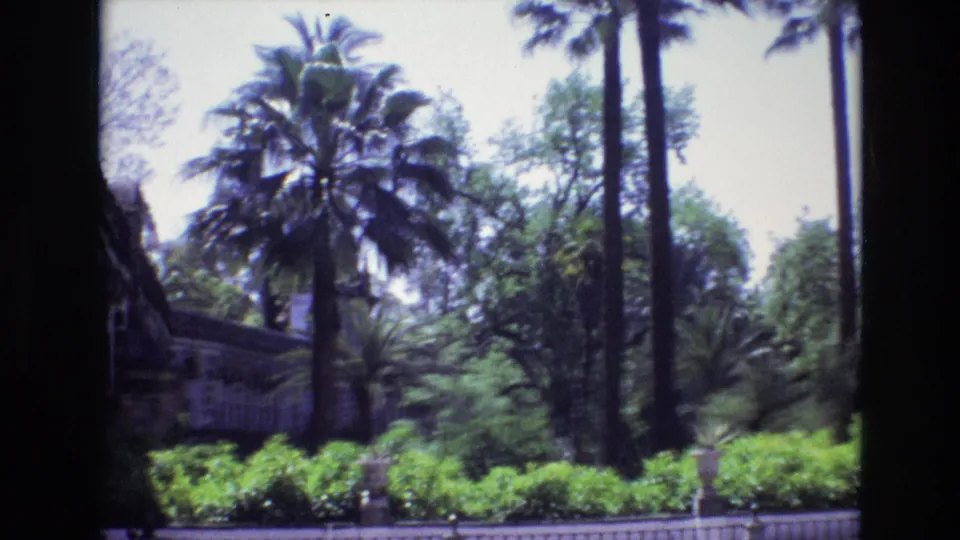 1972 Spain 8mm frame showing a lush garden with palm trunks, broad palm crowns, manicured hedges, and a shaded architectural edge at left.