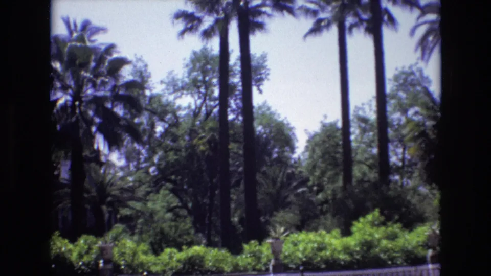 1972 Spain home-movie frame looking across a historic garden area with high palm trunks, bright hedges, layered trees, and slight soft-focus film texture.