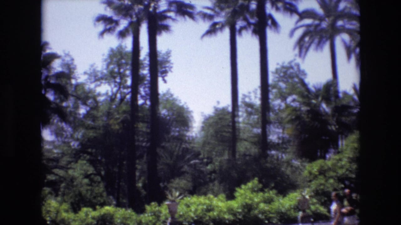 1972 Spain 8mm frame showing tall palms, shrubs, leafy trees, pale sky, and a dark vertical foreground edge framing a sunny garden view.