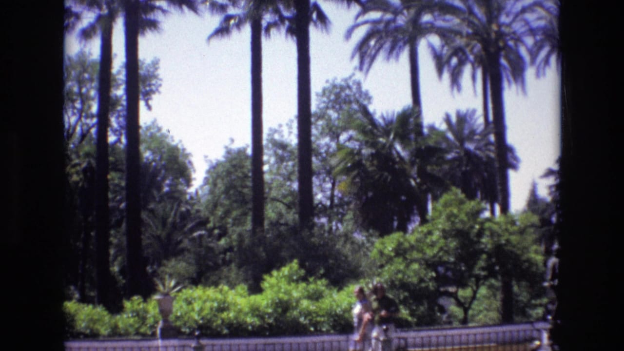 Palm-lined garden with two people walking near the lower right of the frame.