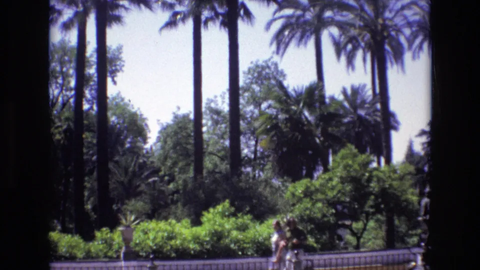 1972 Spain 8mm frame with tall palms, thick greenery, a low garden edge, and two distant people walking through the sunny scene.
