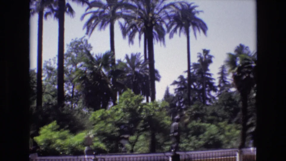 1972 Spain 8mm frame from the end of the pan, with tall palms, layered shrubs, leafy trees, pale sky, and dark foreground framing.