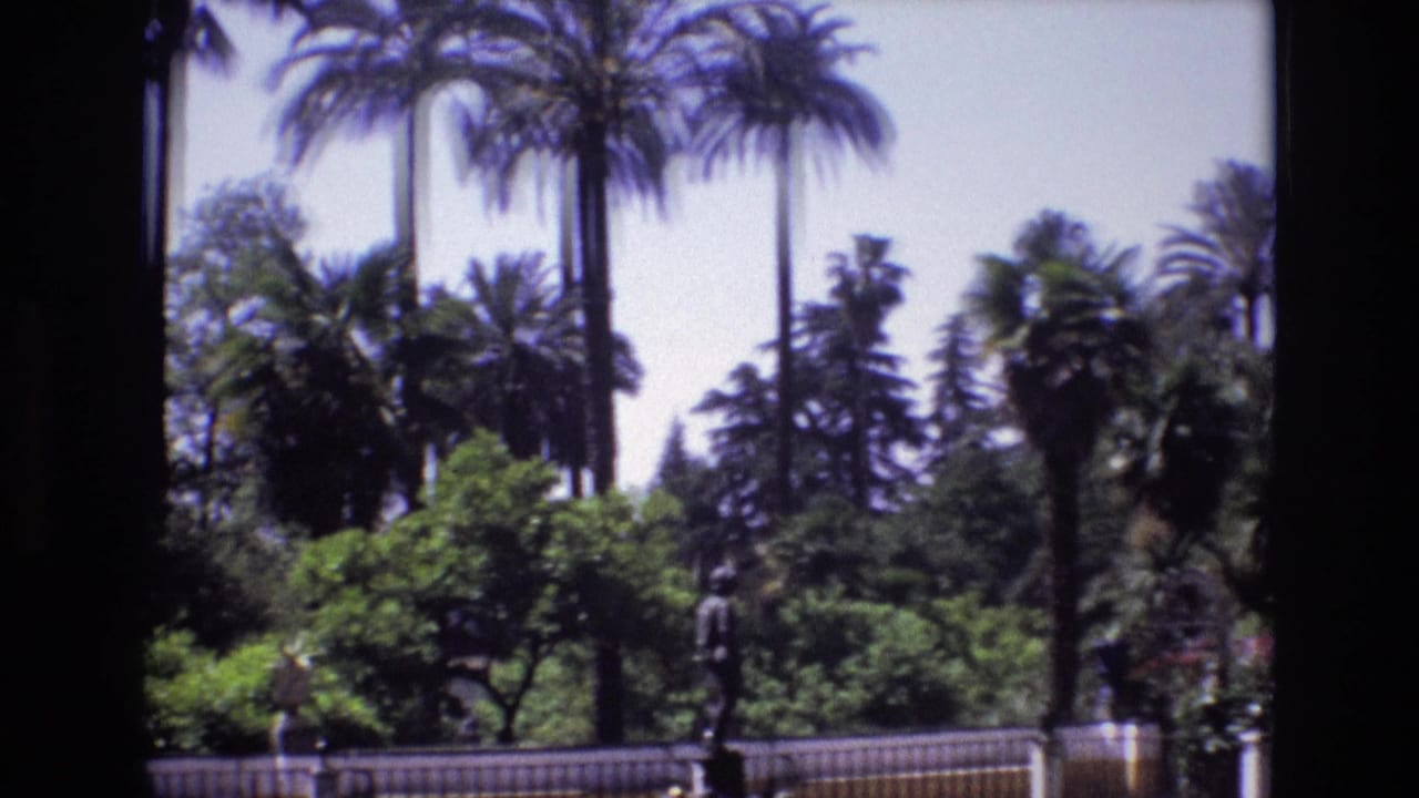 1972 Spain 8mm frame showing a lush garden with tall palm trees, dense shrubs, a decorative fence, and a dark statue under bright daylight.