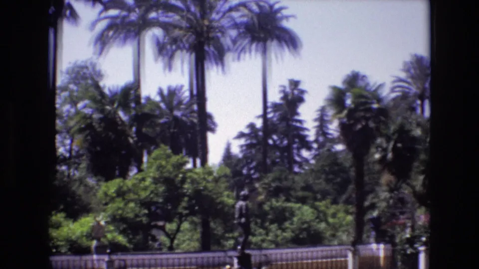 1972 Spain 8mm frame showing a lush garden with tall palm trees, dense shrubs, a decorative fence, and a dark statue under bright daylight.