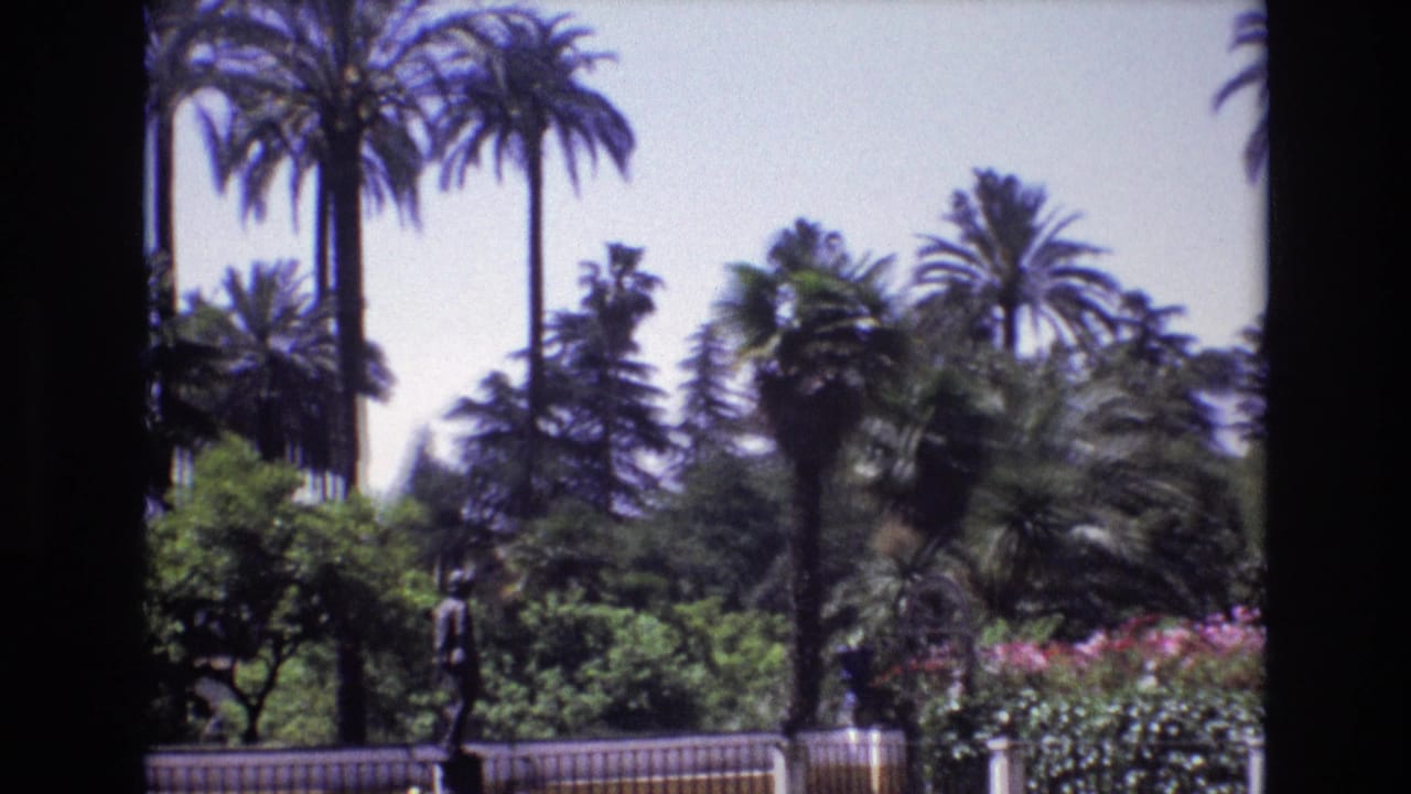 Lush palm garden with flowering shrubs and a statue beside a decorative fence.