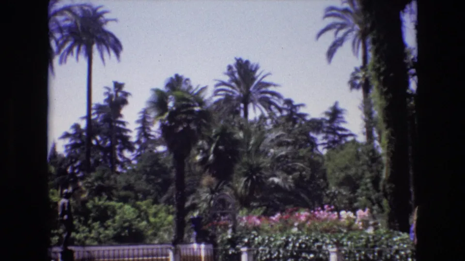 1972 Spain 8mm frame showing tall palms, layered greenery, pink flowers, and a low garden fence in a bright park-like setting.
