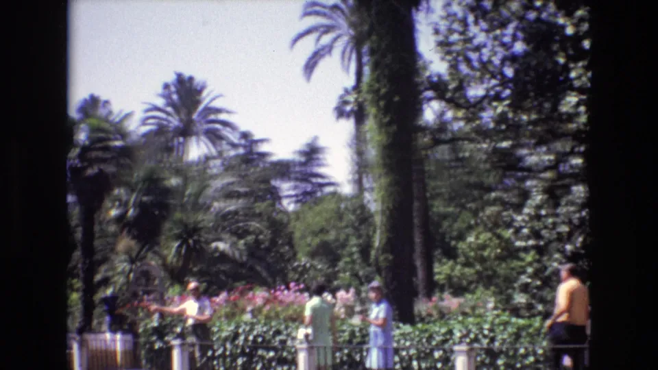 1972 Spain home-movie frame showing adult visitors in summer clothing walking through a flowering palm garden with dense foliage and bright sky.