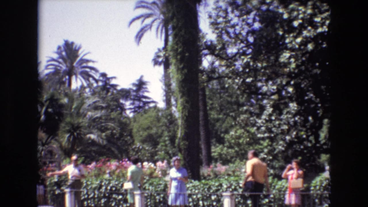 Tourists stand and walk beside flowering shrubs and palm trees in a garden.