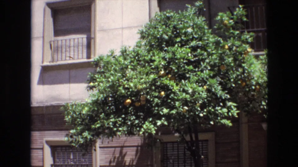1972 Spain 8mm frame showing a fruiting orange tree beside beige apartment walls, barred windows, balcony railings, and strong midday shadows.