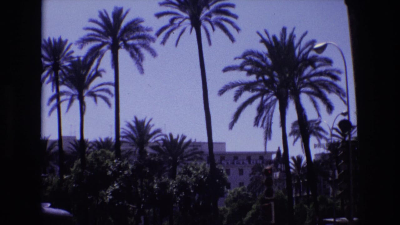 1972 Spain 8mm frame showing tall palms, dense greenery, and a pale building partly hidden behind the trees in a sunlit urban setting.