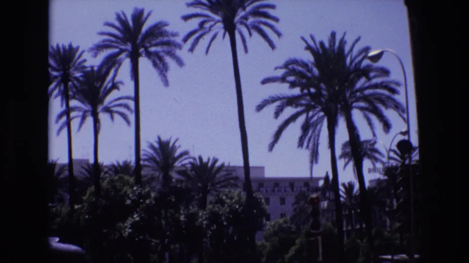 1972 Spain 8mm frame showing tall palms, dense greenery, and a pale building partly hidden behind the trees in a sunlit urban setting.