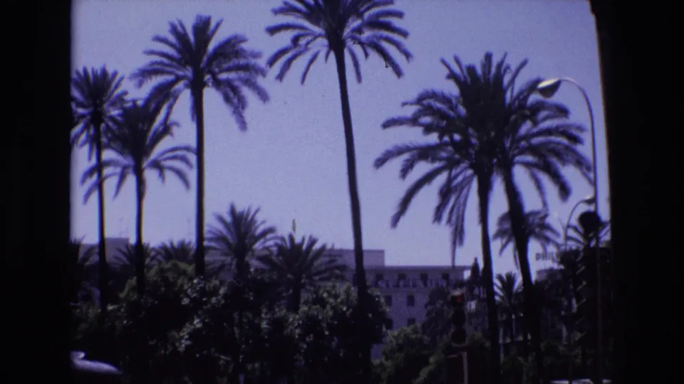 1972 Spain home-movie frame with palm trunks and fronds silhouetted against a bright sky, with a building and possible traffic signal partly visible behind greenery.