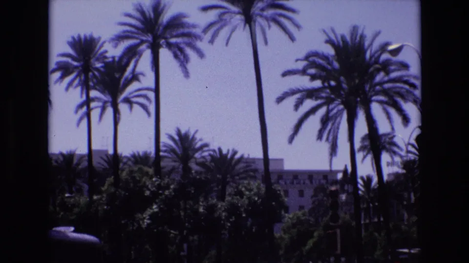 1972 Spain 8mm still with tall palm trees dominating the foreground and a pale multi-story building partly obscured by bushes below.