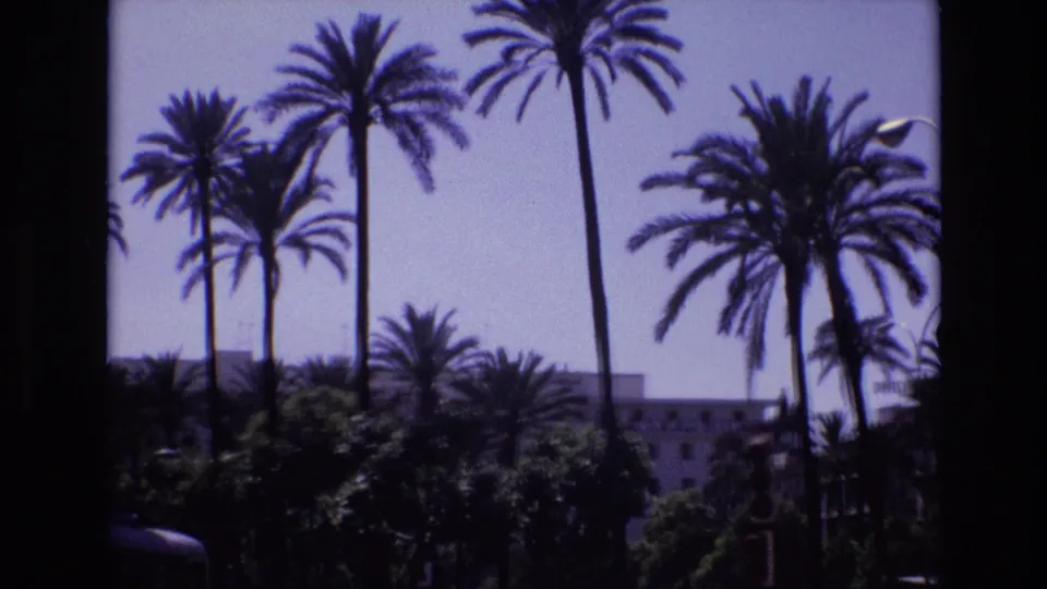 Final 1972 Spain frame showing a sunlit palm-lined urban scene with dense greenery, a partially obscured building, and street fixtures near the right edge.