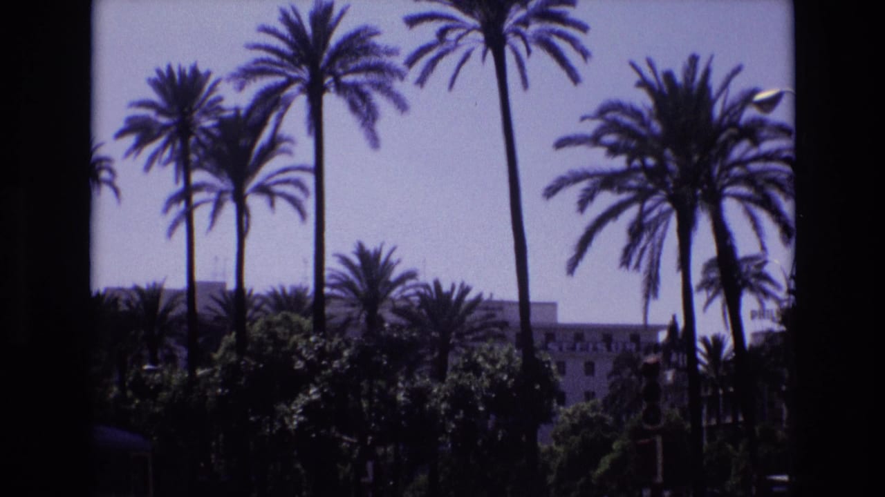 1972 Spain 8mm frame showing tall palm trees over a sunlit urban street, with a large pale building partly obscured by greenery.