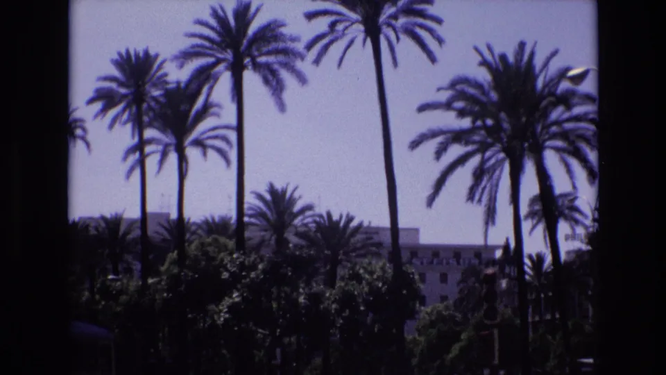 1972 Spain 8mm frame showing tall palm trees over a sunlit urban street, with a large pale building partly obscured by greenery.
