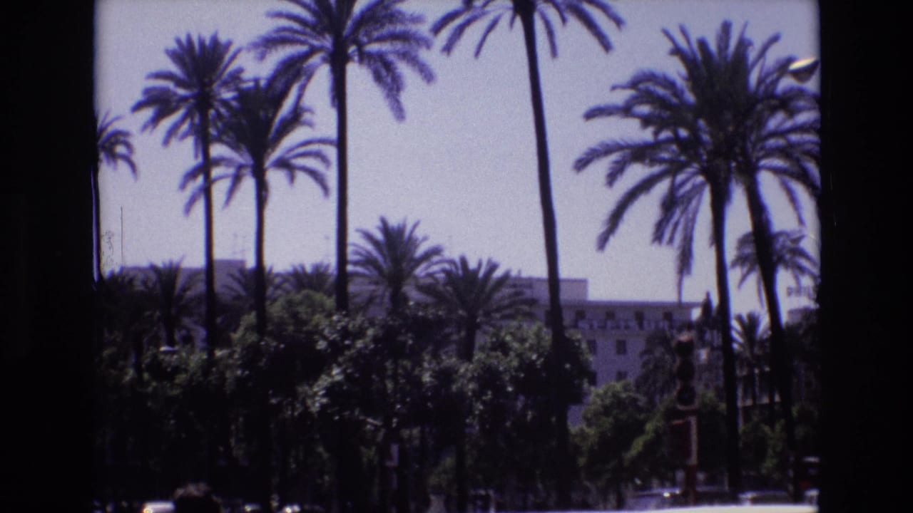 Tall palms and greenery in front of a large urban building.