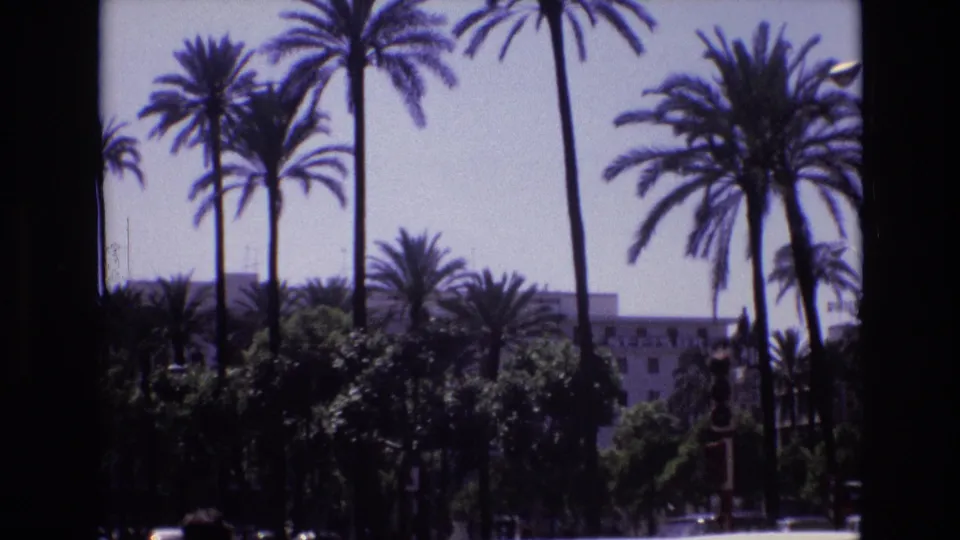 Palm trees rise above dense street greenery in this 1972 Spain home-movie view, with a large building visible behind the fronds.