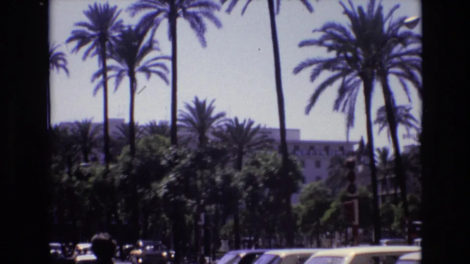 A 1972 Spain street view shows tall palms, a partially hidden building, cars near the bottom of frame, and traffic signals along the avenue.