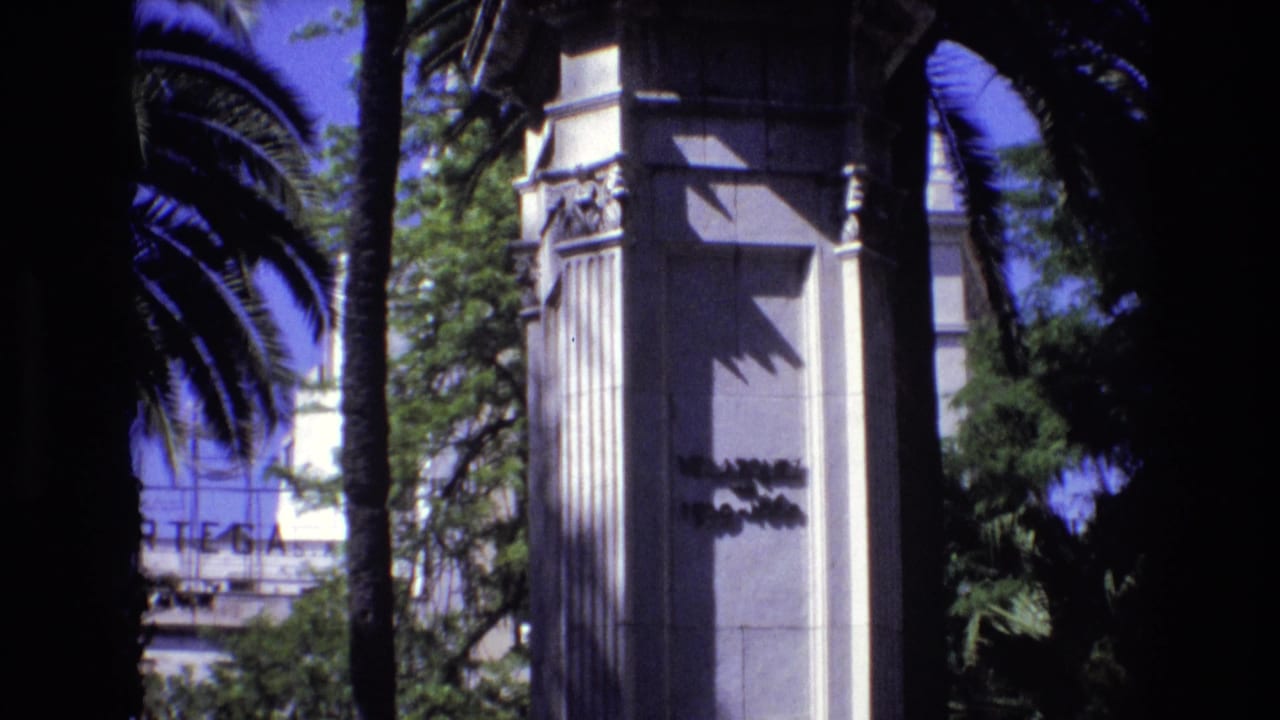 Stone pillar and palm trees with a partially visible sign behind foliage.