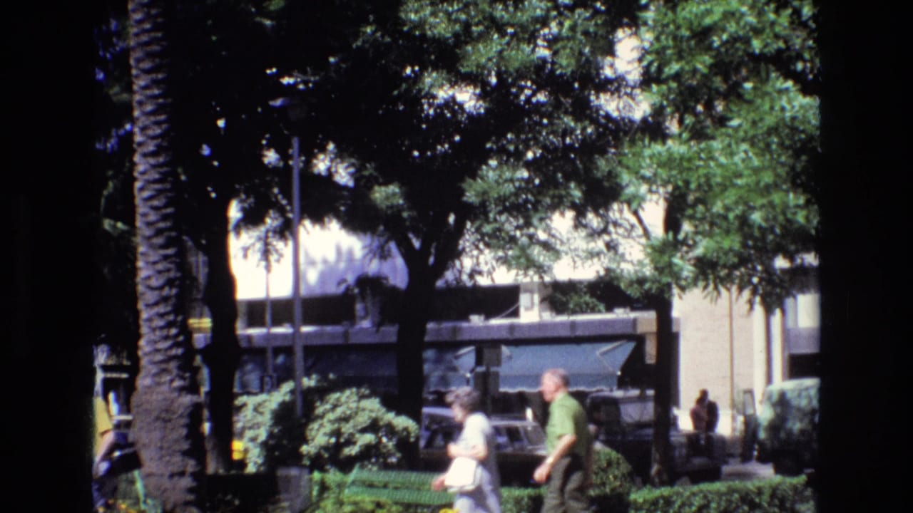 In Spain archival footage from 1972, pedestrians walk past greenery and palm trees on a sunlit city sidewalk with parked cars behind them.