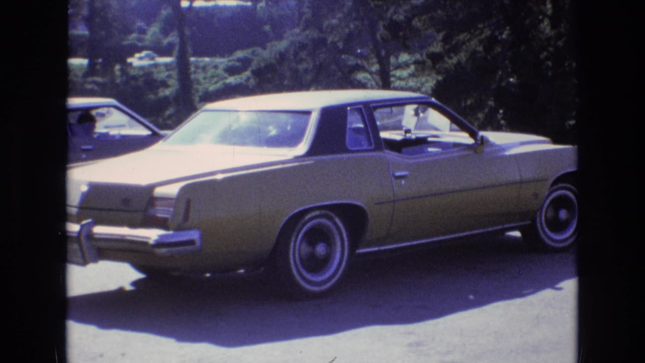 Gold classic American sedan parked on sunlit asphalt beside trees.