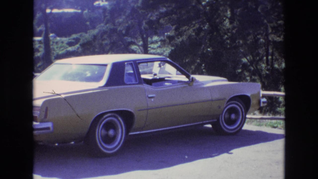 Gold sedan in side view with trees and a fence behind it.