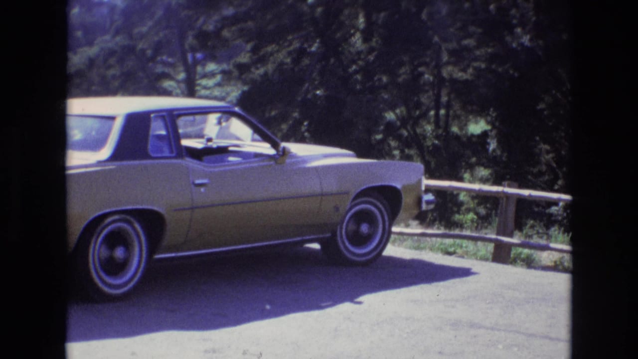 Yellow and black period car parked beside a rustic wooden railing on a wooded paved turnout.