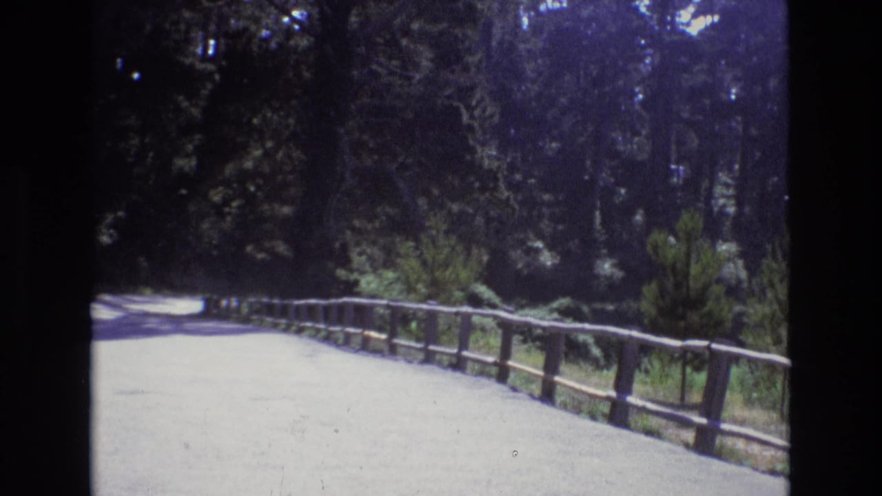 Paved wooded road curving past a rustic rail fence with no car centered in view.