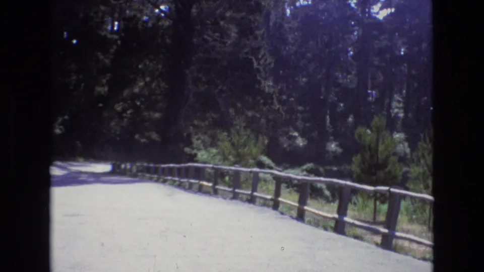 The camera looks down a sunlit paved road bordered by rustic wooden railing and dense roadside trees in the Central Coast California setting described by the clip metadata.