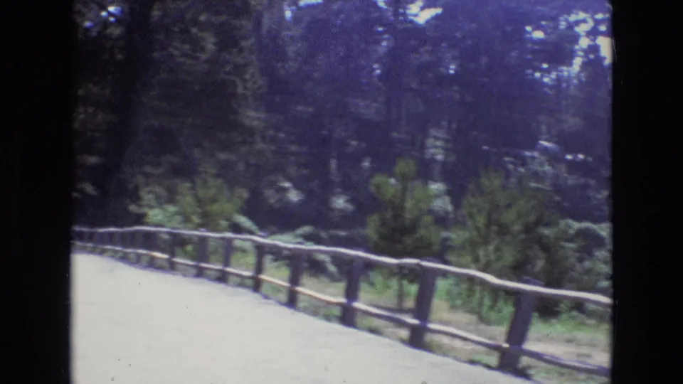 A handheld 8mm view follows the wooden roadside railing along the paved turnout, with dense trees and low vegetation in the background.