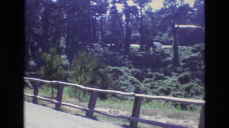The pan settles on the wooded roadside overlook, showing the log-style fence, dense shrubs, trees, and part of a parked vehicle at the edge of the frame.