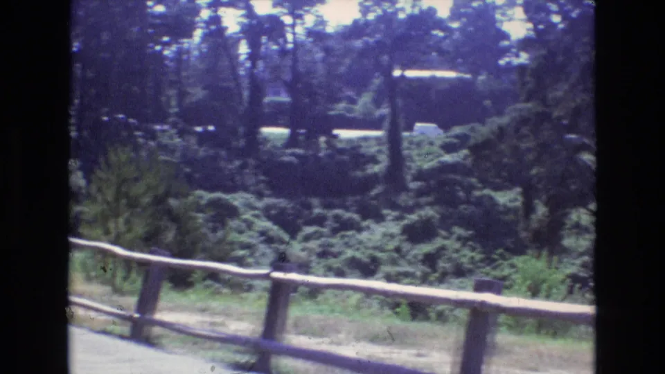 1973 Central Coast California 8mm frame showing a rustic rail fence, dense green foliage, tall trees, and a partly visible road in the background.