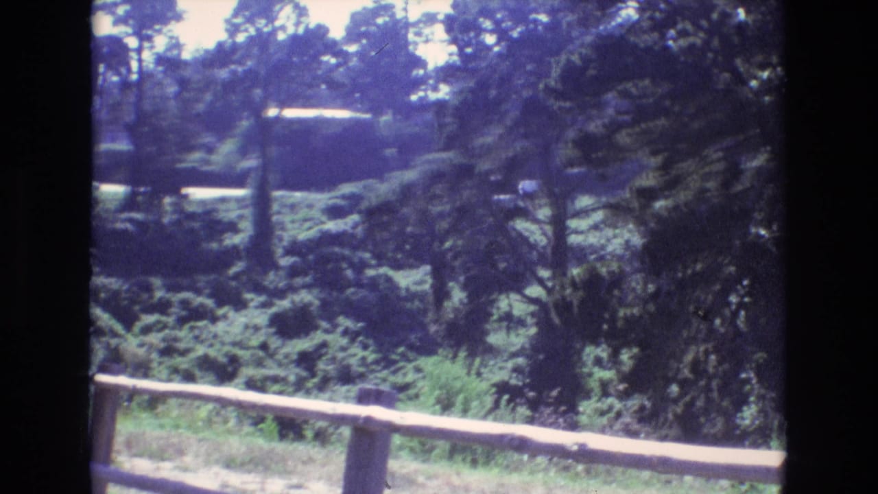 Wooded park-like view with rail fence in the foreground and a light vehicle beyond the trees.