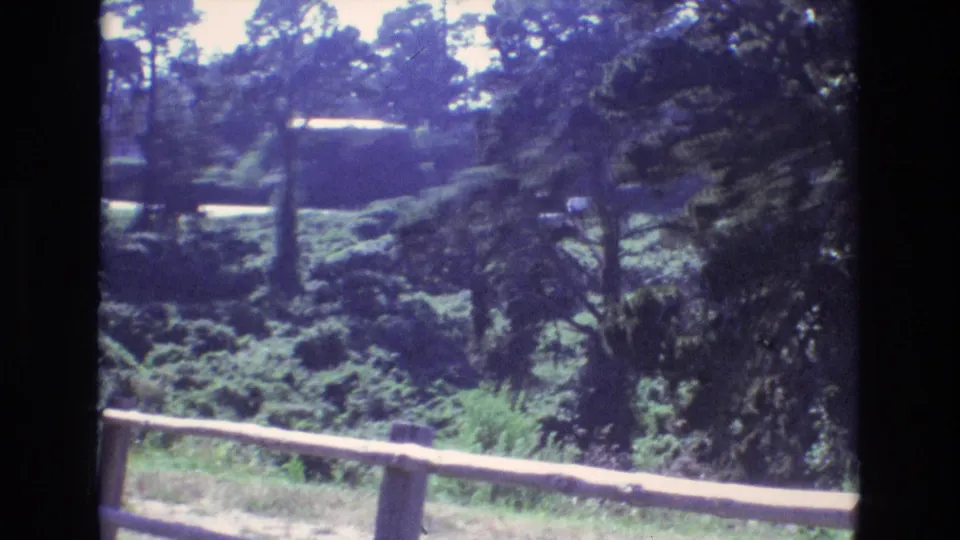 1973 Central Coast California home-movie frame with a rail fence crossing the foreground, dense greenery, tall trees, and a light-colored vehicle partly obscured near the road.