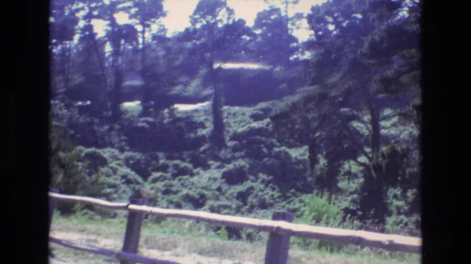 Soft 8mm frame from 1973 showing the Central Coast California park-like setting, with a rough wooden fence, shrubs, trees, and a road glimpsed beyond the foliage.