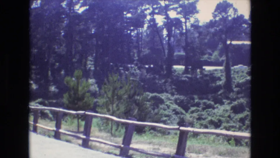 1973 Central Coast California 8mm frame showing a fence corner near a pale path, thick shrubs, tall trees, and a roadway partially visible through the wooded background.