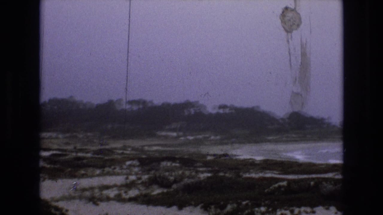 Overcast coastline with waves breaking near rocks and a dark tree line beyond.