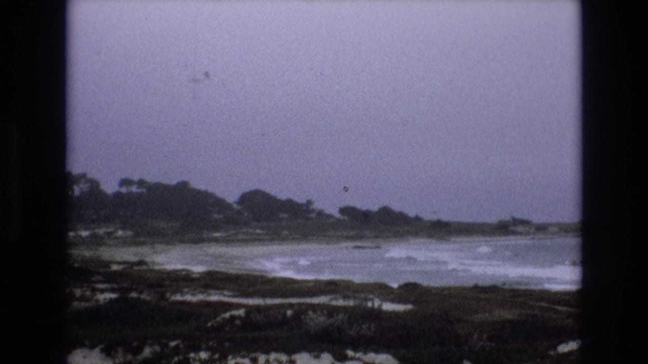 Waves roll toward a rocky shore beneath a gray sky and distant trees.