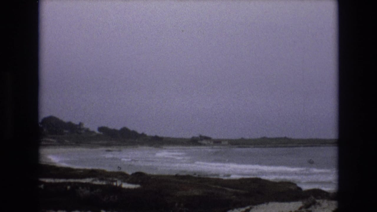 White waves spread across the water with a distant low shoreline and trees beyond.