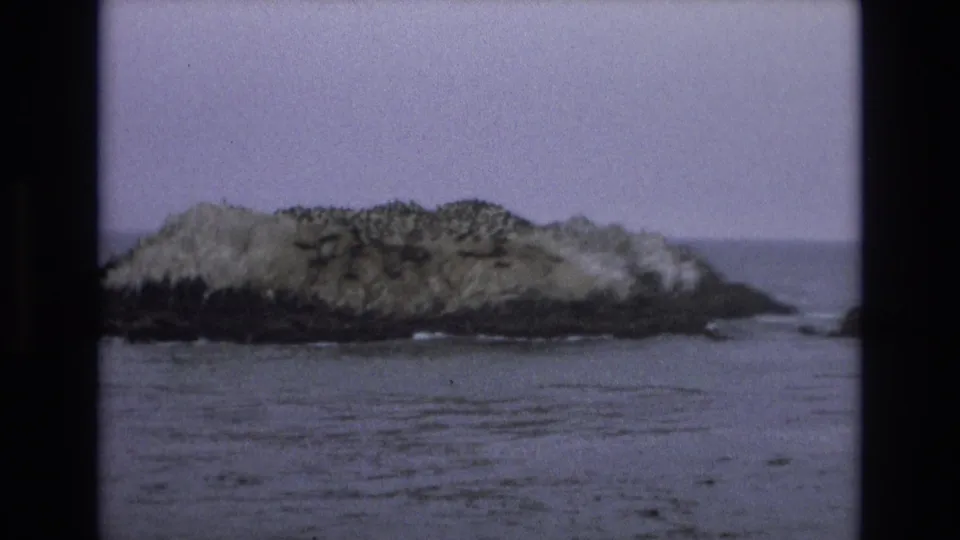 1973 8mm Central Coast California frame with a low coastal islet, pale surface growth, dark rocks, and rippled water in the foreground.