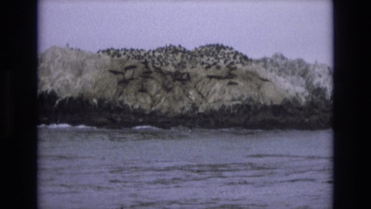 Central Coast California home-movie frame from 1973 showing the rocky island across gray-blue water, with seabirds gathered on the upper surface and dark rocks at the waterline.