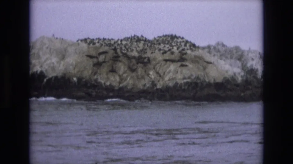 Central Coast California home-movie frame from 1973 showing the rocky island across gray-blue water, with seabirds gathered on the upper surface and dark rocks at the waterline.