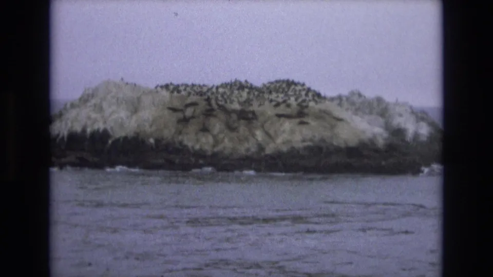 Soft 8mm frame of the California coastal island from a slightly lower or closer angle, showing the uneven rock face, pale surface cover, dark base, and rippled water in front.