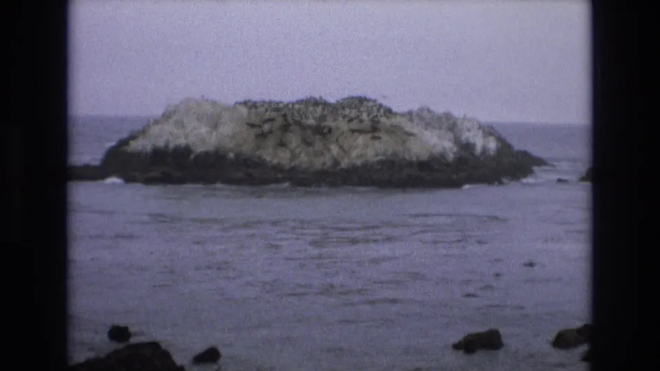 Wide 1973 home-movie view of the offshore California island, with open water in the foreground, a low rocky shoreline, seabirds on the island, and small dark rocks near the bottom edge of the frame.